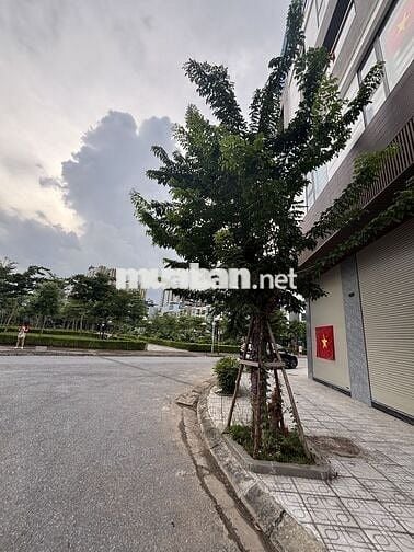 Mặt bằng kd siêu đẹp 3 mặt tiền, view vườn hoa, sát trường học