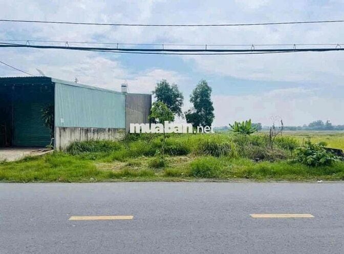 (1)BÁN GẤP LÔ ĐẤT FULL TC NGAY MT ĐƯỜNG NHỰA HL2 252m2 - SỔ HỒNG RIÊNG