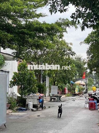 Bán Đất Xã Bình Mỹ Củ Chỉ , Thổ Cư Đầy Đủ Chuẩn Xây Nhà , Giữ Tiền