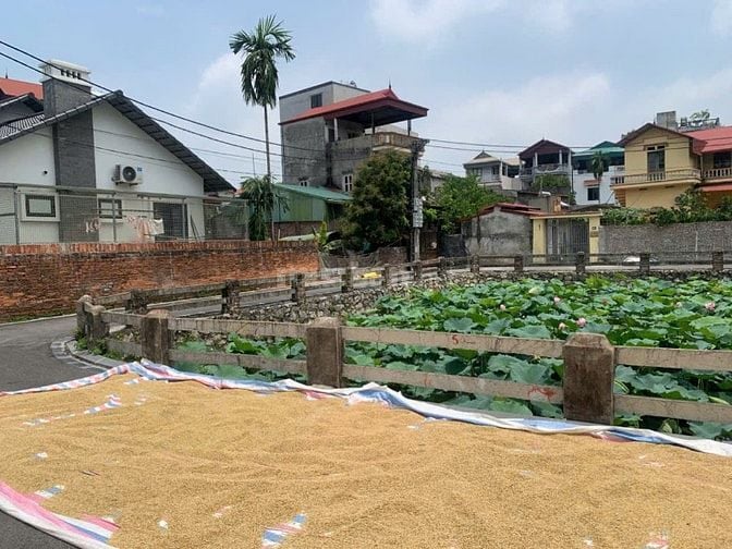 Bán đất view hồ sen thôn Đìa - Nam Hồng - Đông Anh