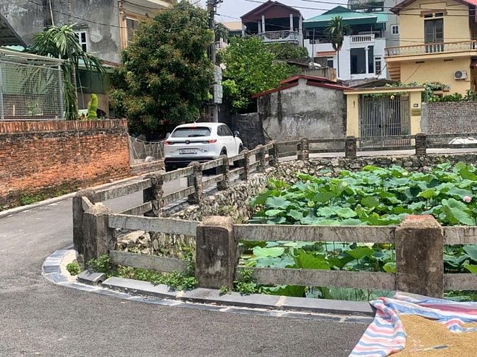 Bán đất view hồ sen thôn Đìa - Nam Hồng - Đông Anh Bán đất view hồ sen thôn Đìa - Nam Hồng - Đông Anh