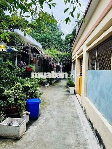 Cho thuê nhà nguyên căn diện tích đất 71m2 diện tích nhà 50m2