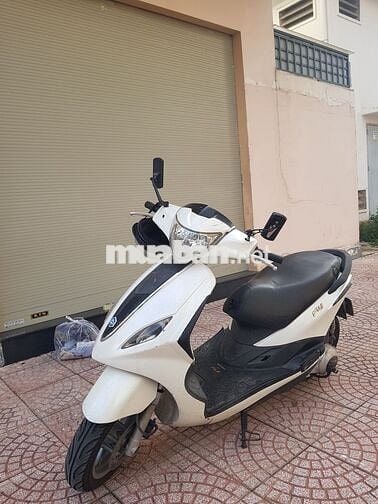 Piagio Fly 150 đăng ký 2012 Trắng đẹp bền bỉ sang