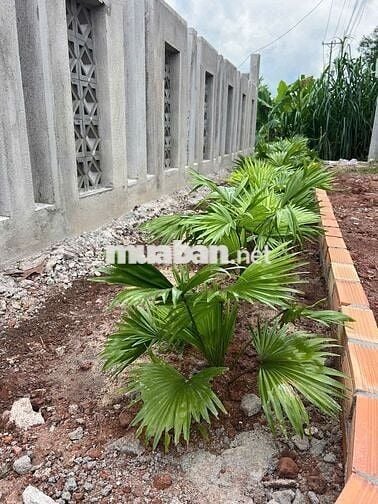 🫢 KHÁCH BỎ CỌC – BÁN GẤP TRONG VÒNG 3 NGÀY 🫢