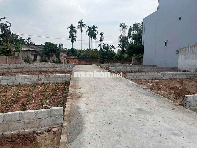 💥 ĐẤT Khai Thái - Phú Xuyên - Hà Nội.
⛔️ Diện tích: 45,1m
⛔️ Mặt tiền