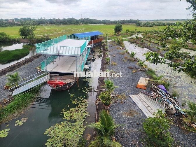 Nhà vườn Chợ Trảng Bàng, Đường N2 700m2(10x70)m, SHR, Giá 980tr