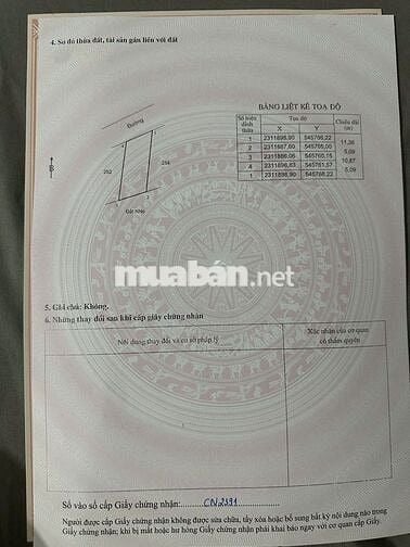 đất rẻ nhất thị trường Văn Giang. 2.5tỷ trục chính apphan.