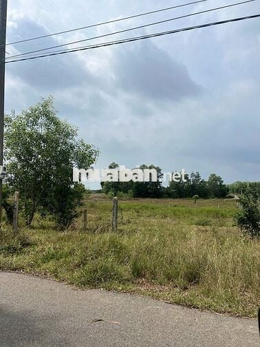 Chính chủ bán đất thổ cư mặt tiền nhựa sát cạnh KCN Đất Đỏ