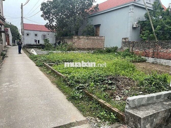 🎄 ĐẤT ĐẸP ĐƯỜNG THÔNG Ô TÔ CHẠY VÒNG QUANH 👉 Lập phương - KHAI THÁI