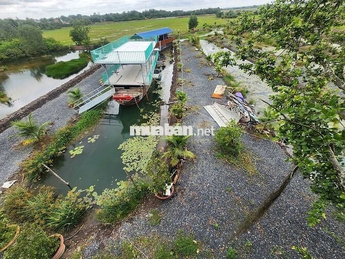 Nhà vườn Chợ Trảng Bàng, Đường N2 700m2(10x70)m, SHR, Giá 980tr