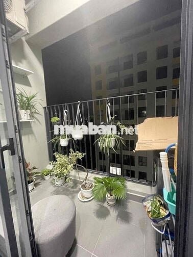 CẦN BÁN NHANH 2PN2WC CÁCH GO DĨ AN 700mét