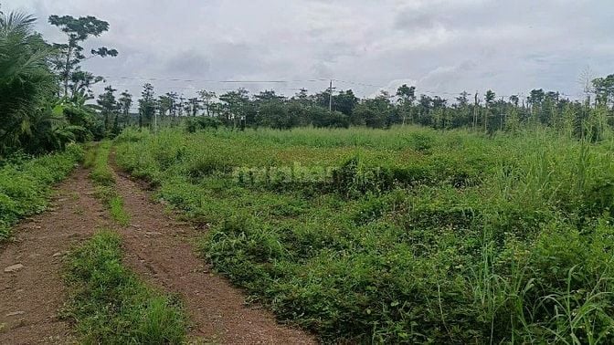 BÁN LÔ ĐẤT 1068m2, QUY HOẠCH LÊN THỔ CƯ GIÁ 1.39 TỶ