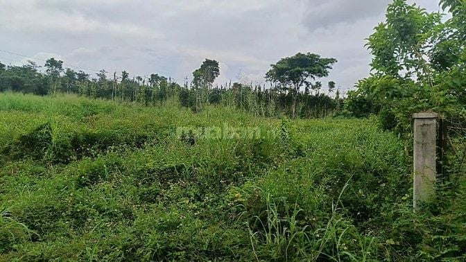 BÁN LÔ ĐẤT 1068m2, QUY HOẠCH LÊN THỔ CƯ GIÁ 1.39 TỶ