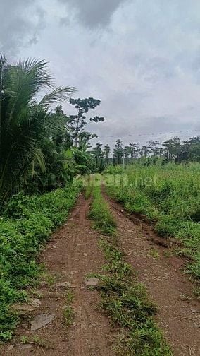 BÁN LÔ ĐẤT 1068m2, QUY HOẠCH LÊN THỔ CƯ GIÁ 1.39 TỶ