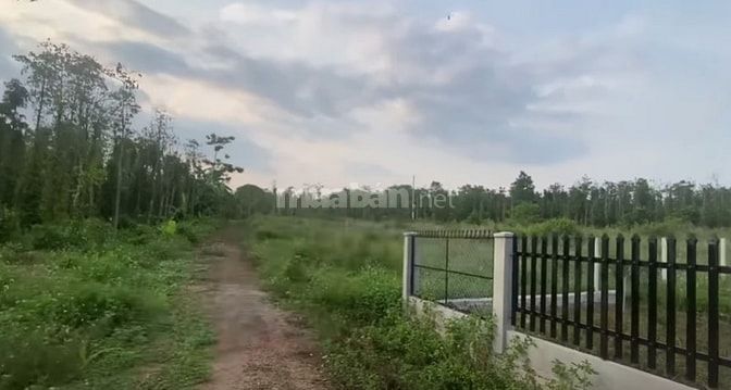 BÁN LÔ ĐẤT 1068m2, QUY HOẠCH LÊN THỔ CƯ GIÁ 1.39 TỶ