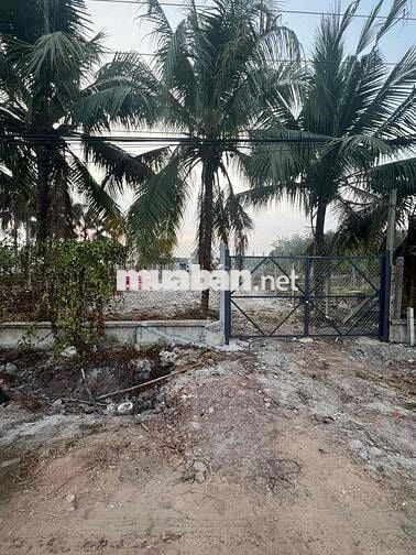 đất sổ đỏ 10300m2 đường Hồ Chí Minh, Trảng Bàng,TN
