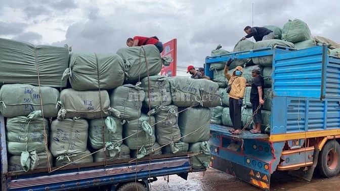 Bốc xếp 24/24  chuyển nhà .củng ứng lao động 