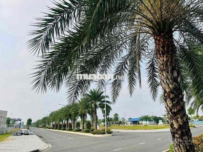 Lô mặt tiền đườg trục chính 24m ngay sb Long Thành-Sổ sẵn chỉ 12tr/m2