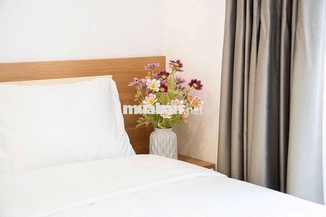 Căn 2N1K rộng 75m², nội thất sang trọng, gần Lotte Ba Đình