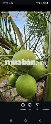 Cần bán đất nông nghiệp 3.5 tỷ -Ấp 18 Gia Đình- Xã Bảo Quang
