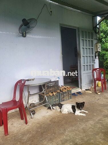 Cần bán đất nông nghiệp 3.5 tỷ -Ấp 18 Gia Đình- Xã Bảo Quang