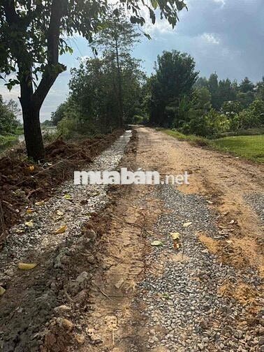 đất mặt Tiền sông . gần trường học . đường thông .
