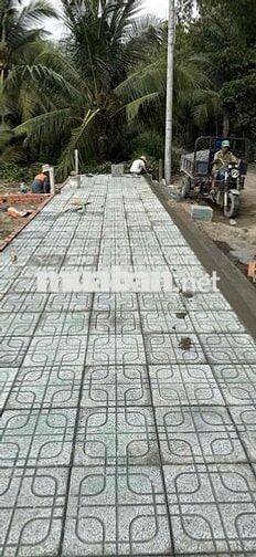 đất mặt Tiền sông . gần trường học . đường thông .