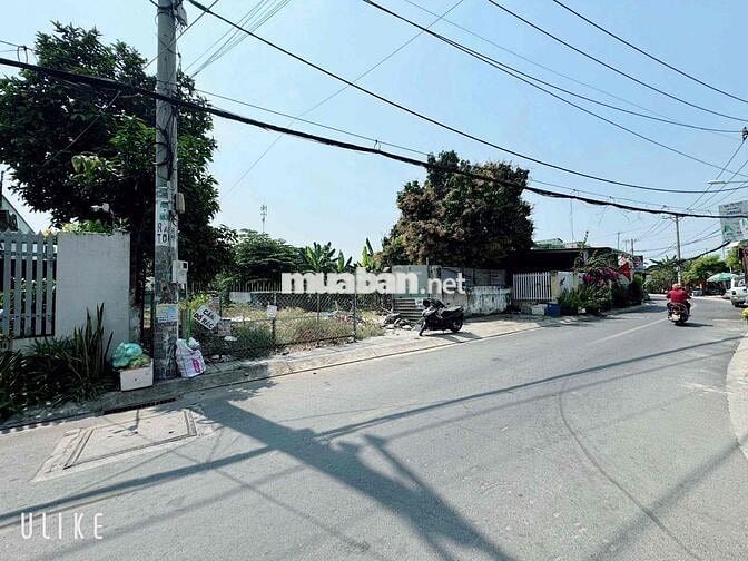 Đất 7.9x23m nở hậu 8.2m Sổ 174m2 Mt đg Tân Xuân 1 cách Lê Thị Hà 150m
