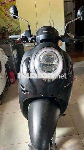 Scoopy ít đi cần nhượng lại
