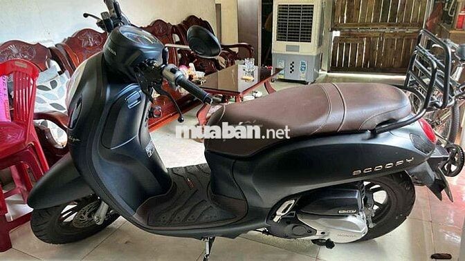 Scoopy ít đi cần nhượng lại
