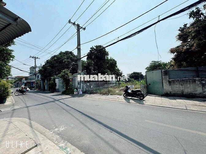 Đất 7.9x23m nở hậu 8.2m Sổ 174m2 Mt đg Tân Xuân 1 cách Lê Thị Hà 150m