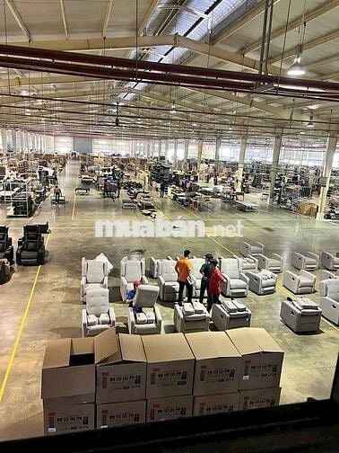 Cho thuê xưởng 47.000m2 trong KCN Tân Uyên Bình Dương