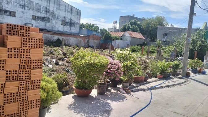 CẦN BÁN 3 LÔ ĐẤT LIỀN KỀ NHAU 1 SẸC ĐƯỜNG TAM ĐÔNG 12 – HÓC MÔN 