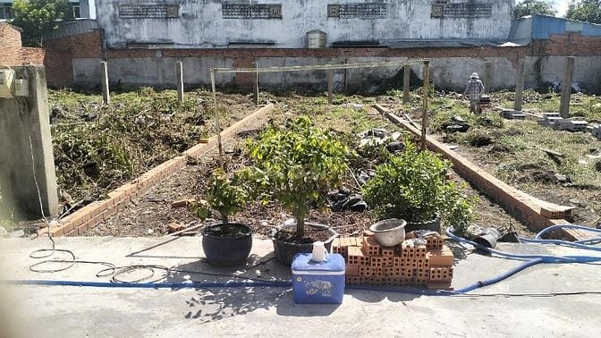 CẦN BÁN 3 LÔ ĐẤT LIỀN KỀ NHAU 1 SẸC ĐƯỜNG TAM ĐÔNG 12 – HÓC MÔN 