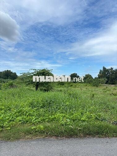 CẦN BÁN GẤP ĐẤT – Cần Đước, 132m²/655tr, SHR, full thổ cư