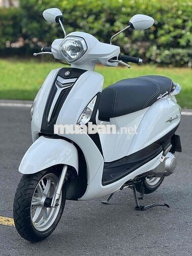 yamaha- Grande