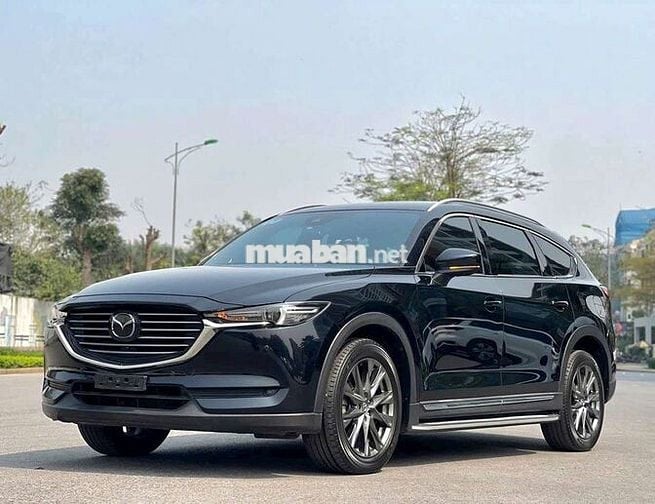 Cx8 premium 2022