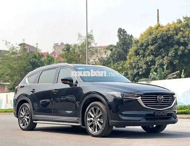 Cx8 premium 2022