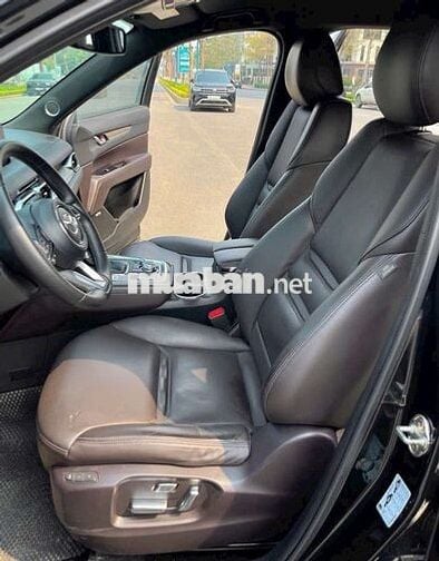 Cx8 premium 2022