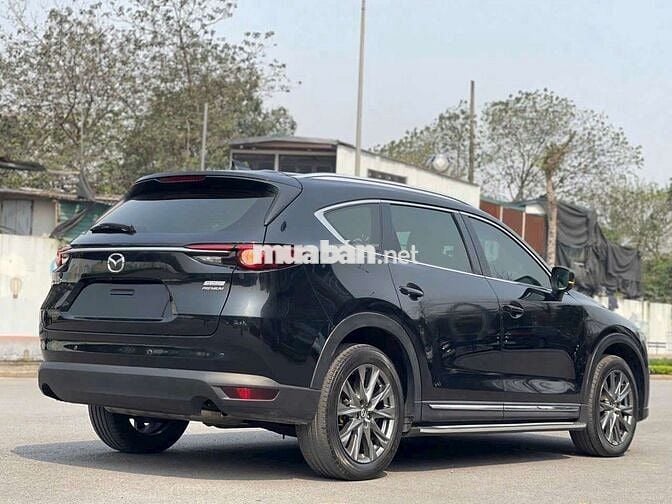 Cx8 premium 2022