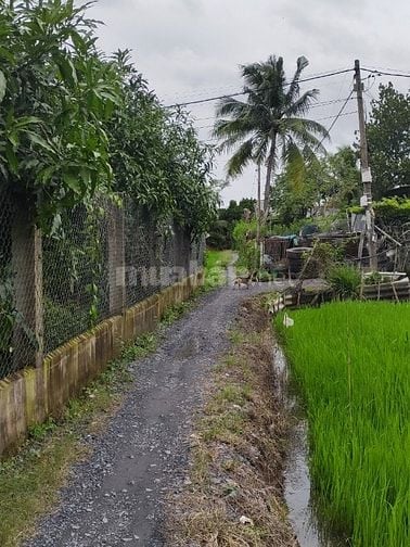 ĐẤT GIÁ RẺ  – GẦN CHỢ, TRƯỜNG HỌC – TIỀM NĂNG SINH LỜI CAO!
