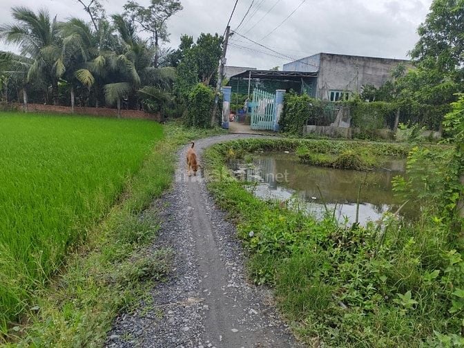 ĐẤT GIÁ RẺ  – GẦN CHỢ, TRƯỜNG HỌC – TIỀM NĂNG SINH LỜI CAO!