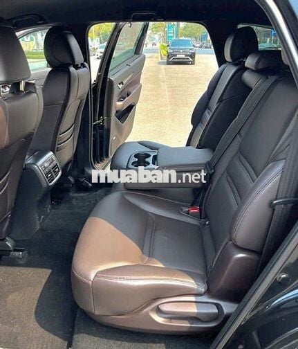 Cx8 premium 2022