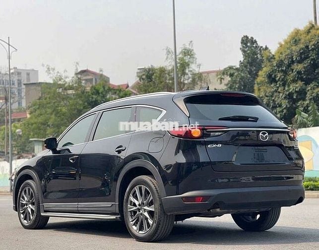 Cx8 premium 2022
