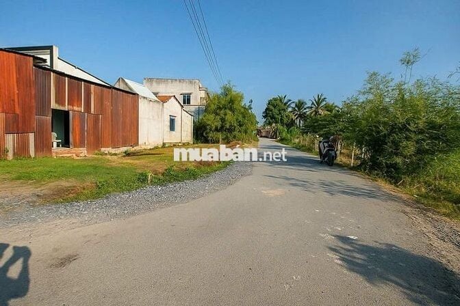 Đất KDC Phước Hiệp, cách Bến xe Củ Chi 3km, giá 650tr, SHR