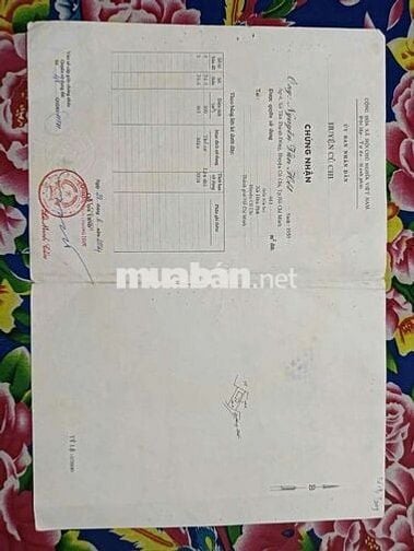 NHÀ C4 HUỲNH MINH MƯƠNG,DT:317m2,SHR, CHỈ 2.7 TỶ