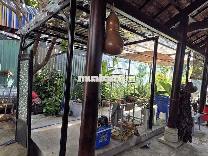 MẶT BẰNG KINH DOANH SIÊU ĐẸP ĐƯỜNG B,KDC SÔNG ĐÀ,GẦN CHỢ HIỆP BÌNH