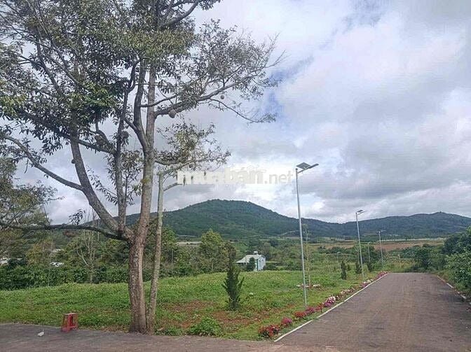 ĐẤT GẦN SÂN BAY FULL THỔ CƯ 🍀