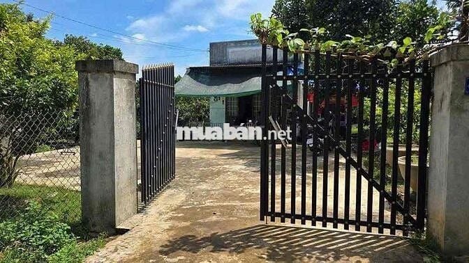 CẦN BÁN GẤP LÔ ĐẤT VƯỜN SẦU RIÊNG Ở CHƠN THÀNH, BÌNH PHƯỚC