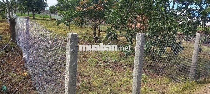 Bán 394m2 đất xã tân hội đức trọng lâm đồng có 100m2 đất thổ cư